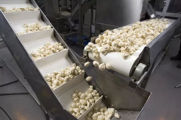 自動化速凍食品榴莲视频免费观看械