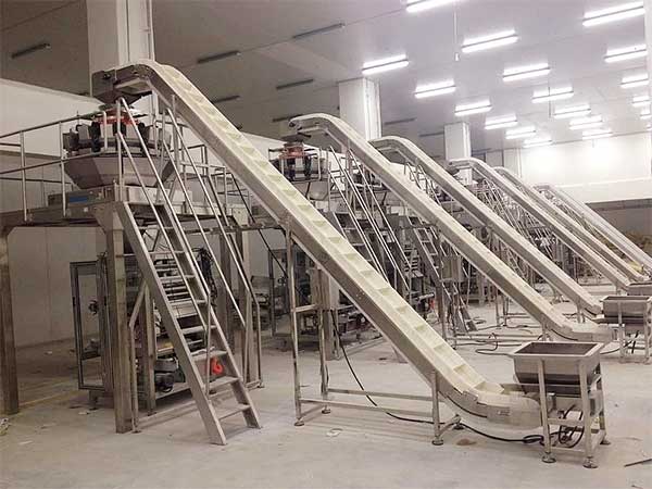 智能化全自動速凍食品榴莲视频免费观看提升企業生產效率